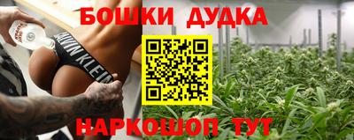 крисы Нальчик