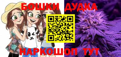 крисы Нальчик